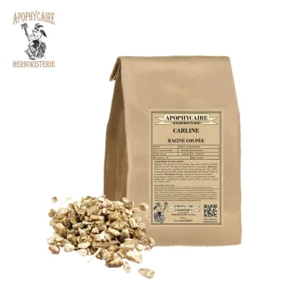 Carline cut root – Carlina acaulis | Apophycaire