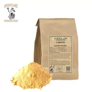 Carrot root powder – Daucus carota | Apophycaire