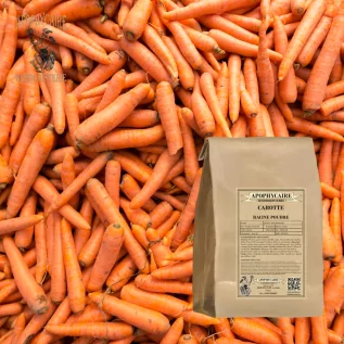 Havuç kökü tozu – Daucus carota | Apophycarius