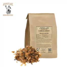 Carragaheen thalle coupé (Chondrus crispus) - Apophycaire