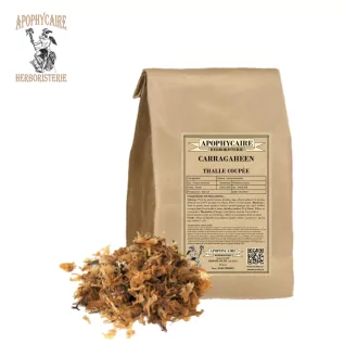 Carragaheen thalle coupé (Chondrus crispus) - Apophycaire