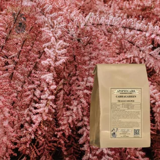 tisane Carragaheen (Chondrus crispus) - Apophycaire