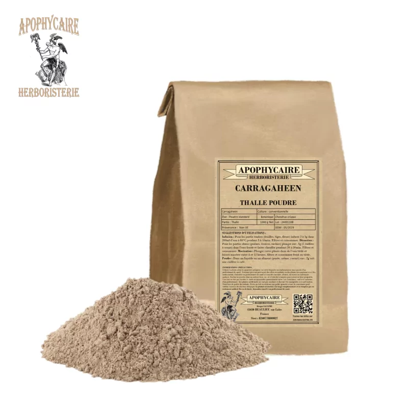 Carragaheen thallus powder (Chondrus crispus) - Apophycaire