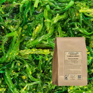 Infusion Carragaheen (Chondrus crispus) - Apophycaire