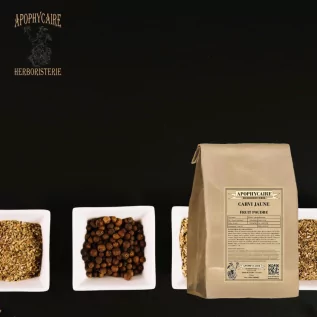 Carvi jaune fruit poudre (Carum carvi) - Apophycaire