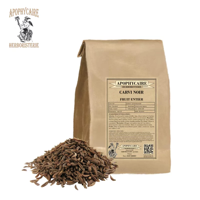 Schwarzkümmel ganze Frucht (Carum carvi nigrum) - Apophycaire