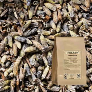 Infusion de Carvi noir (Carum carvi nigrum) - Apophycaire