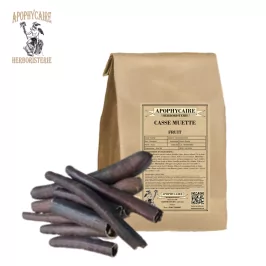 Frutos sueltos de Cassia fistula | Apophycarius