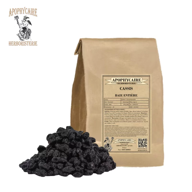 Blackcurrant berry in bulk (Ribes nigrum) - Apophycaire