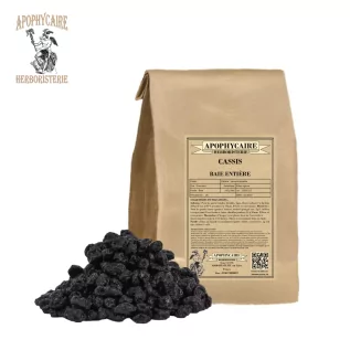 Blackcurrant berry in bulk – Ribes nigrum | Apophycaire