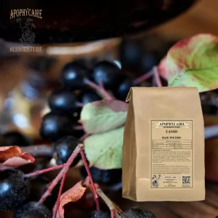Blackcurrant berry powder – Ribes nigrum | Apophycaire