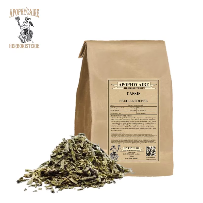 Cassis feuille coupée (Ribes nigrum) - Apophycaire Cassis feuille coupée (Ribes nigrum) - Apophycaire