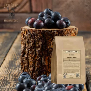 tisane Cassis feuille (Ribes nigrum) - Apophycaire