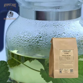 Blackcurrant leaf powder (Ribes nigrum) - Apophycaire