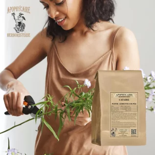 Parte aérea de la hierba gatera – Nepeta cataria | Apophycarius