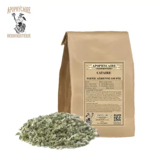 Luftteil der Katzenminze – Nepeta cataria | Apophycarius