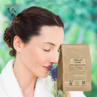 Cataire poudre (Nepeta cataria) - Apophycaire