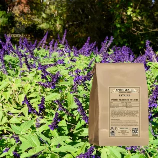 Catnip aerial part powder – Nepeta cataria | Apophycaire