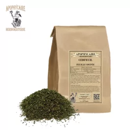 Kesik yapraklı frenk maydanozu – Anthriscus cerefolium | Apophycarius