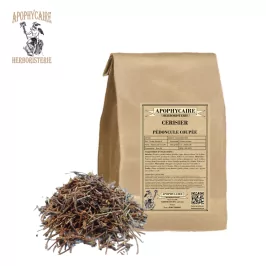 Cherry tree cut peduncle – Prunus cerasus | Apophycaire