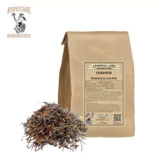 Cherry tree cut peduncle – Prunus cerasus | Apophycaire