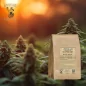 Kenevir "CBD" kesilmiş bitki (Cannabis sativa L) - Apophycaire
