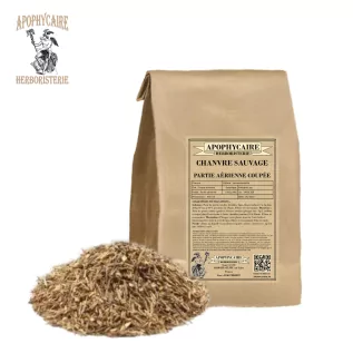 Wild hemp cut plant – Galeopsis ssp | Apophycaire