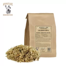 Blessed thistle, cut aerial part – Cnicus benedictus | Apothecary