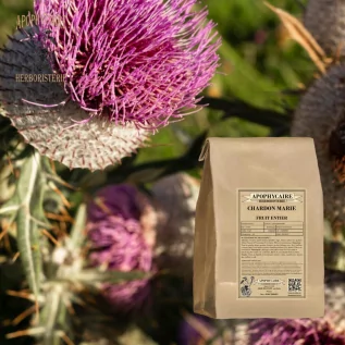 Süt devedikeni bütün meyvesi – Silybum marianum | Apophycarius