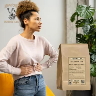 Chardon marie coupée (Silybum marianum) - Apophycaire