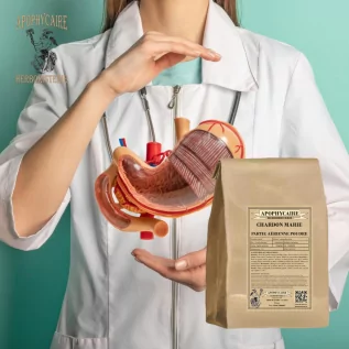 Milk thistle aerial part powder (Silybum marianum) - Apophycaire