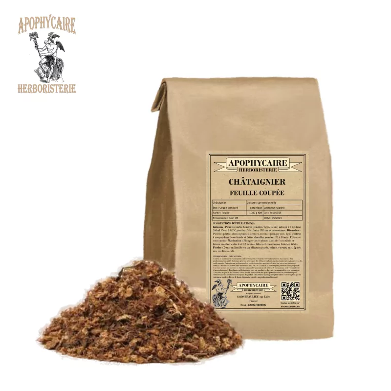 Kesik yapraklı kestane (Castanea vulgaris) - Apophycaire Kesik yapraklı kestane (Castanea vulgaris) - Apophycaire