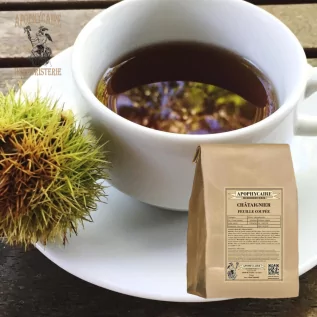Cut-leaf chestnut – Castanea vulgaris | Apothecary