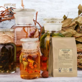 Kesilmiş meşe kabuğu (Quercus robur) - Apophycaire