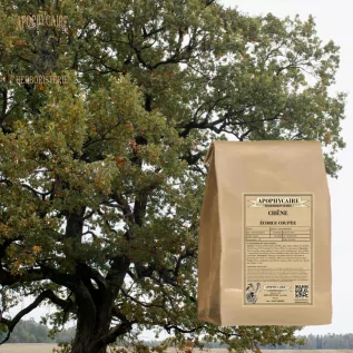 Kesilmiş meşe kabuğu – Quercus robur | Apophycarius