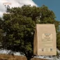 Oak bark powder (Quercus robur) - Apophycaire Oak bark powder (Quercus robur) - Apophycaire