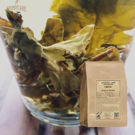 Chêne feuille coupée (Quercus robur) - Apophycaire