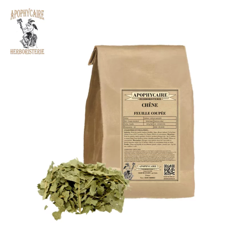 Roble de hoja cortada (Quercus robur) - Apophycaire