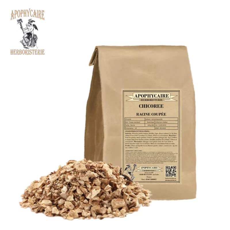 Chicorée racine coupée (Cichorium intybus) - Apophycaire
