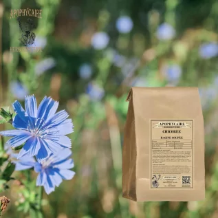 Chicory root cut – Cichorium intybus | Apophycaire