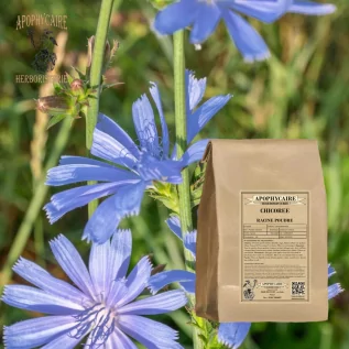 Polvo de raíz de achicoria – Cichorium intybus | Apophycarius
