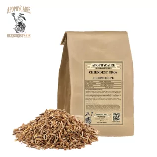 Hierba cana con rizoma grande cortado – Cynodon dactylon | Apophycarius