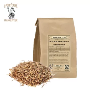 Quecke Rhizom geschnitten – Agropyrum repens | Apophycarius