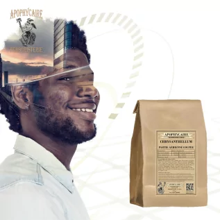 Corte de la parte aérea del crisantemo – Chrysanthellum americanum | Apophycarius