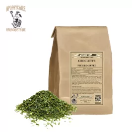 Cebollino de hoja cortada – Allium schoenoprasum | Apophycarius