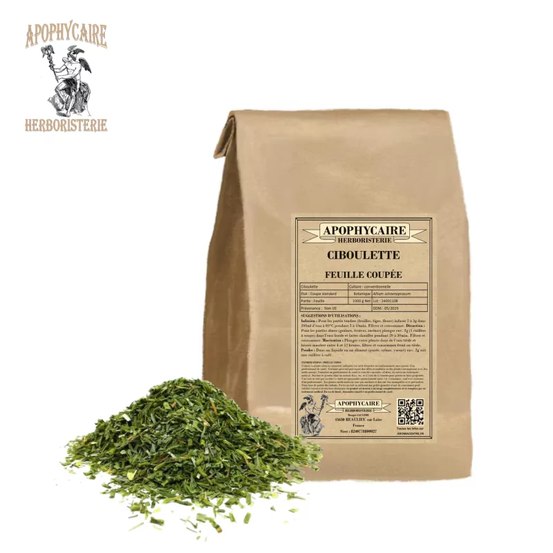 Cebollino de hoja cortada (Allium schoenoprasum) - Apophycaire