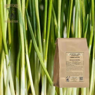 tisane Ciboulette feuille coupée - Apophycaire