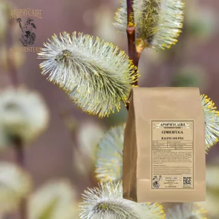 Cimicifuga kesilmiş kök – Cimicifuga racemosa | Apophycarius