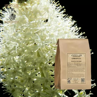 Cimicifuga root powder – Cimicifuga racemosa | Apophycaire