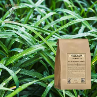 Lemongrass aerial part cut – Cymbopogon citratus | Apophycaire